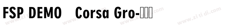 FSP DEMO   Corsa Gro字体转换